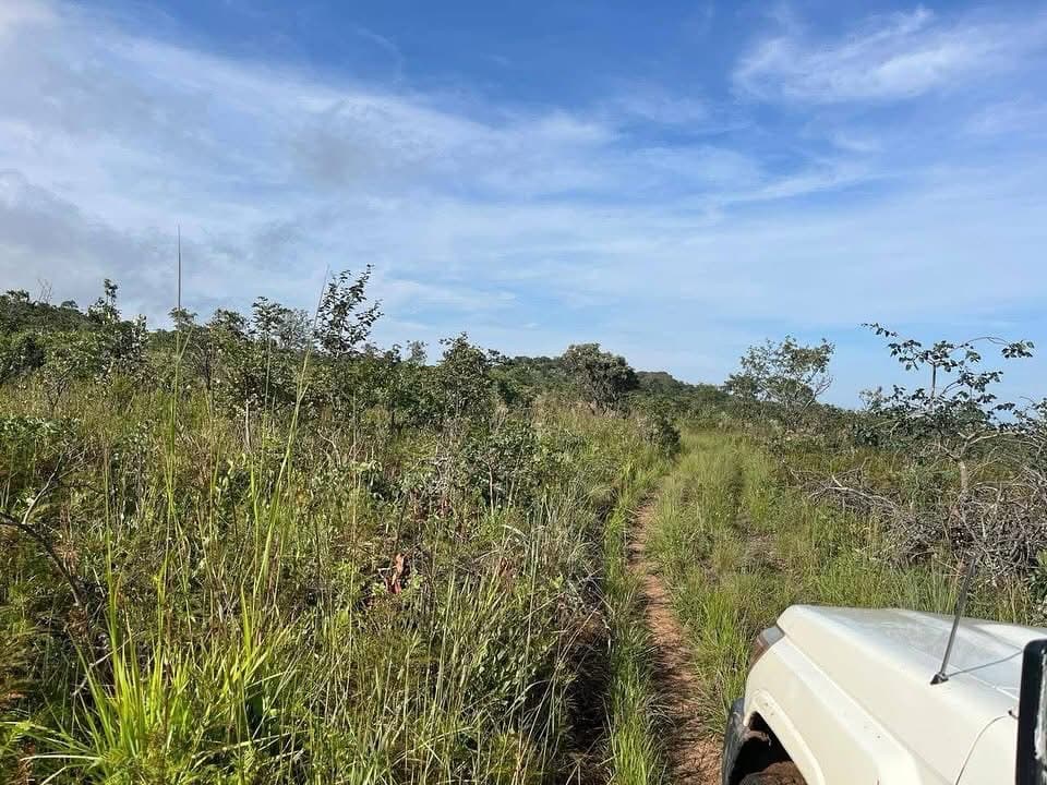Terreno c/ 1.906,803 hectares 📍 Comuna da Calenga Município da Caála Província do Huambo Para fins agrícolas Agro-pecuária e Indústria Hotelaria e Turismo VENDA por Kz 800.000.000,00 em Huambo - T1